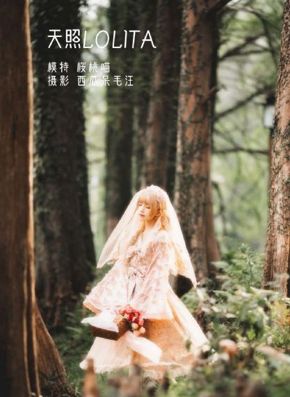 电影闪电行动