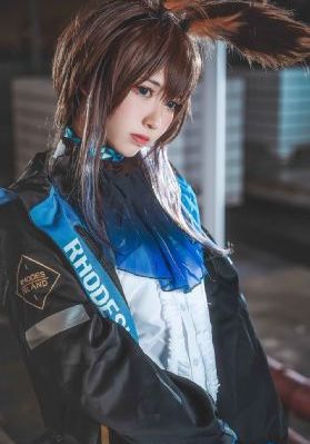 狃花女电视剧免费全集